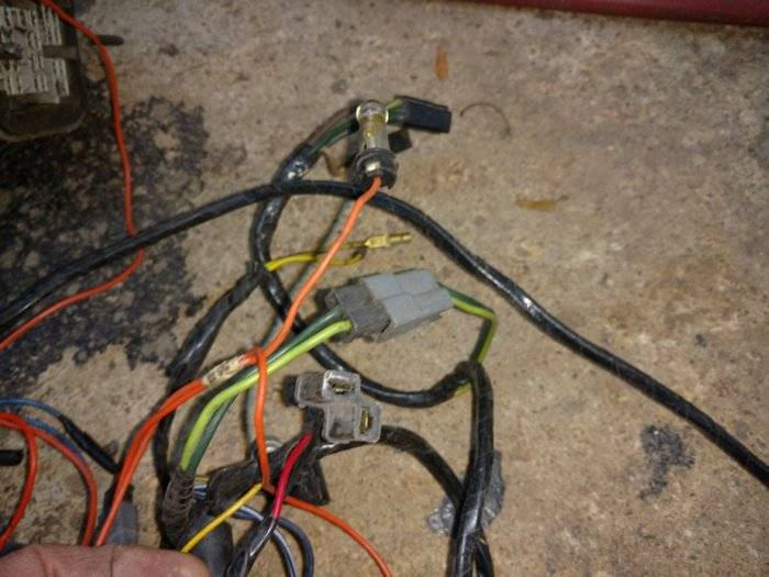 AAFA882F-DEDE-47CC-96DE-21BCDE3E5372.jpeg