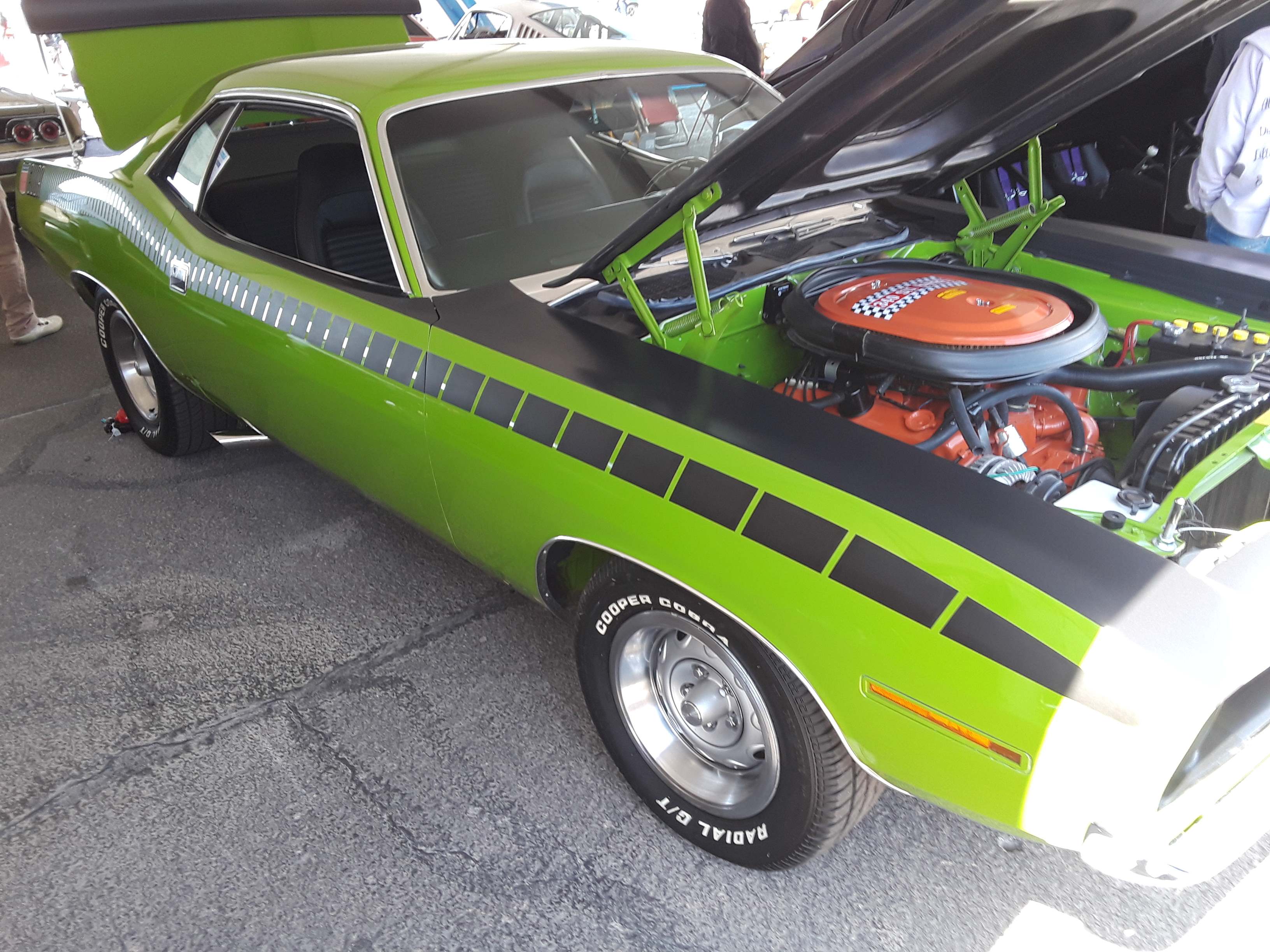 AAR Cuda 1.jpg