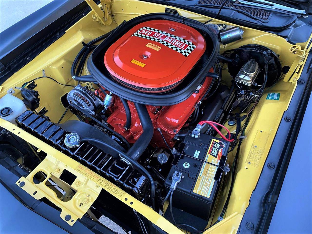 AAR Cuda20 (3).jpg