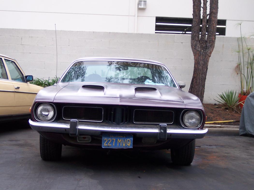 Barracuda 002.jpg