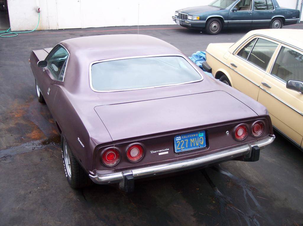 Barracuda 004.jpg