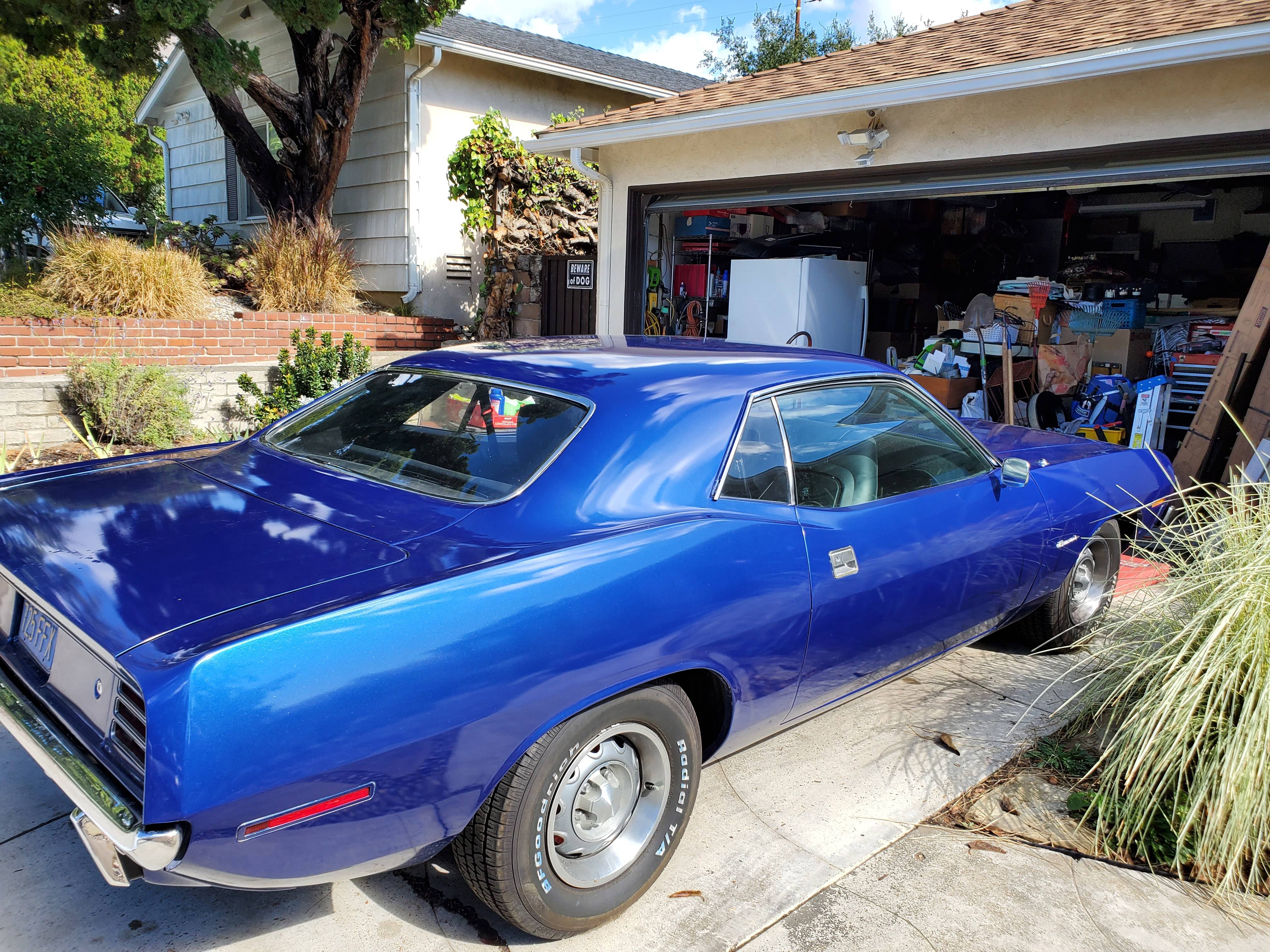 barracuda 11.jpg