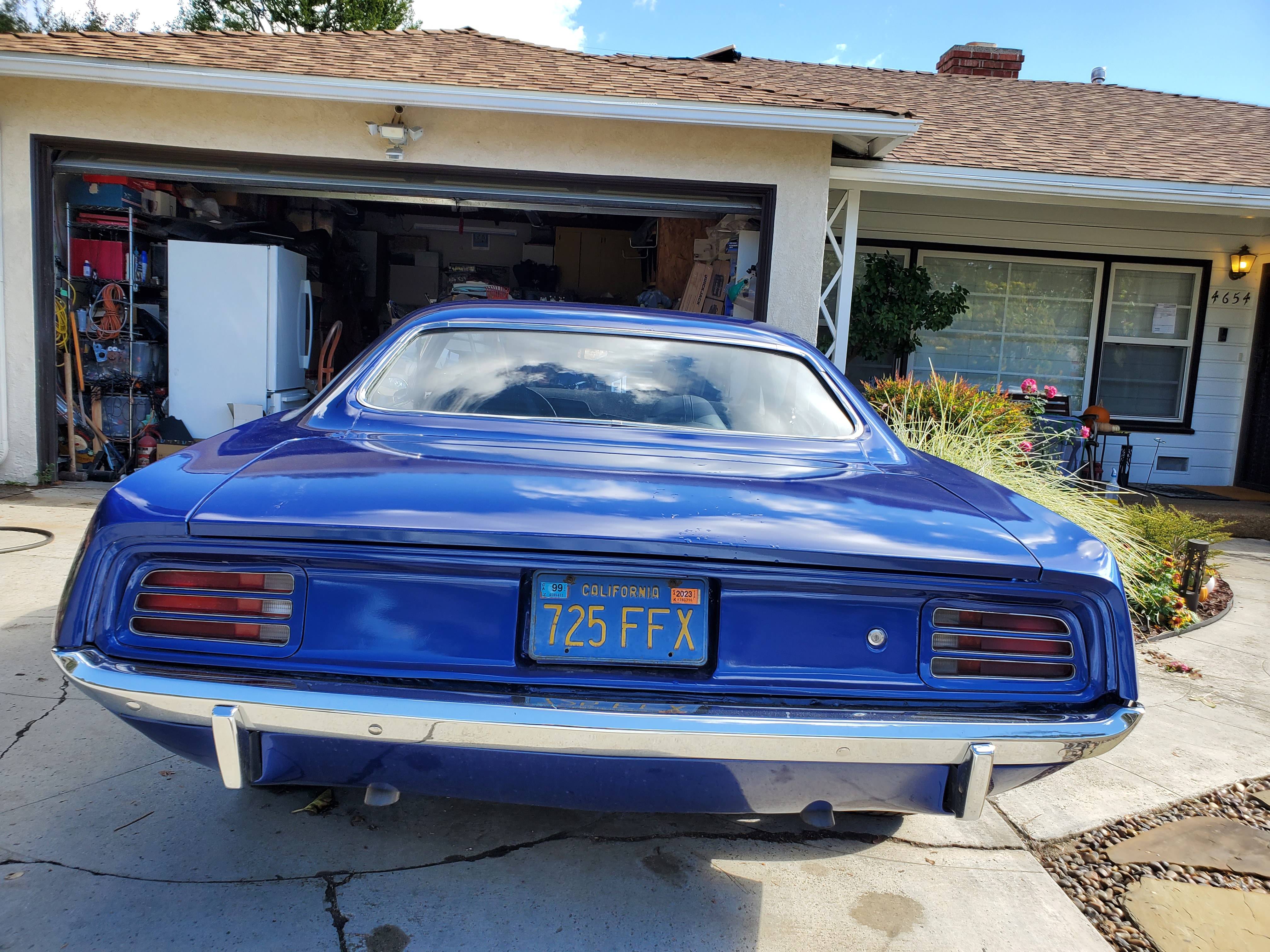 barracuda 12.jpg
