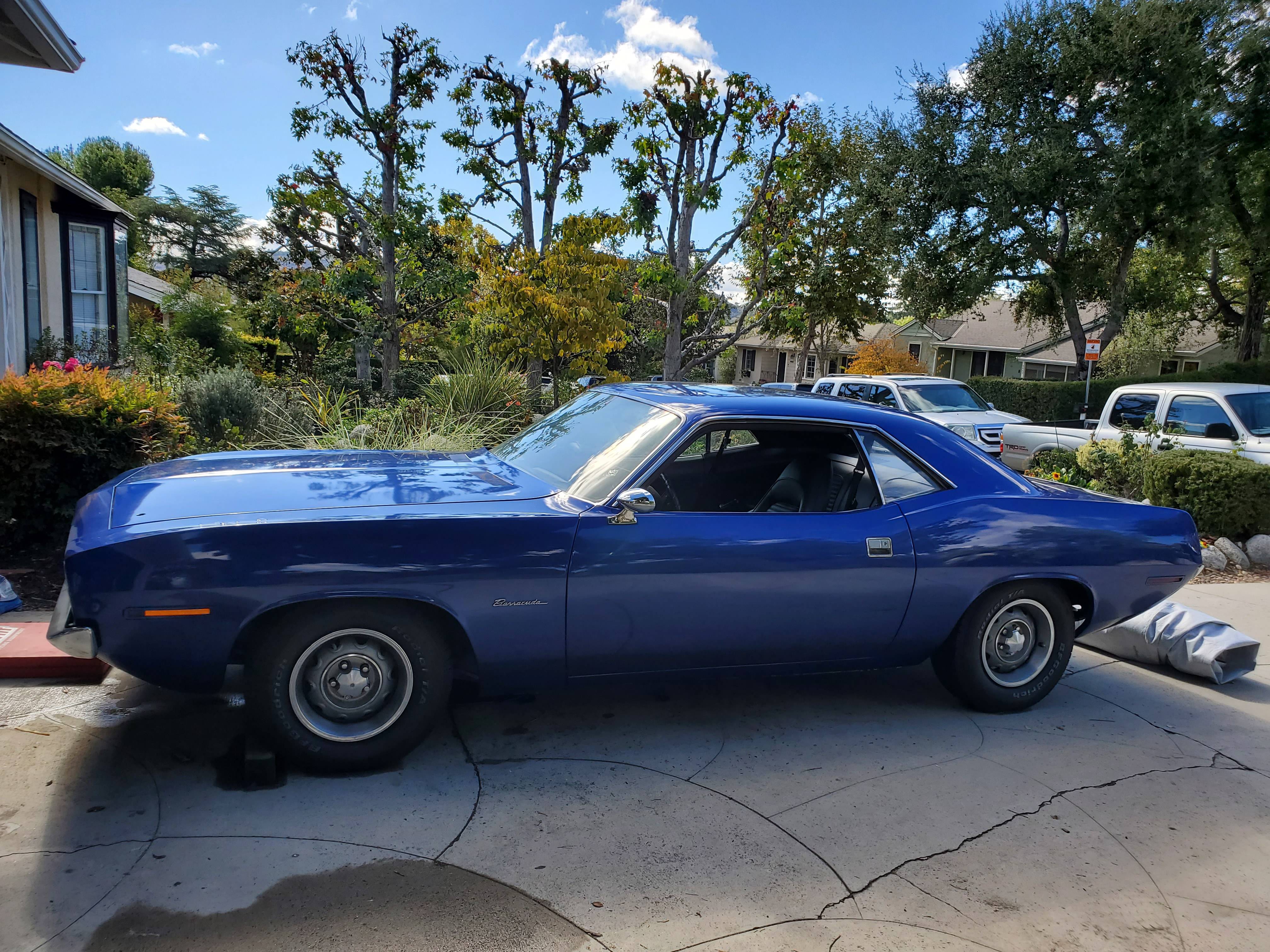 barracuda 13.jpg