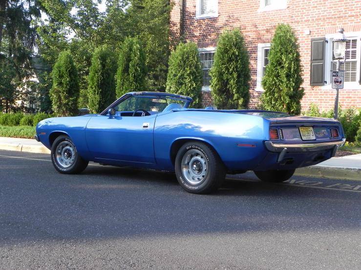 Barracuda 2 for posting.jpg