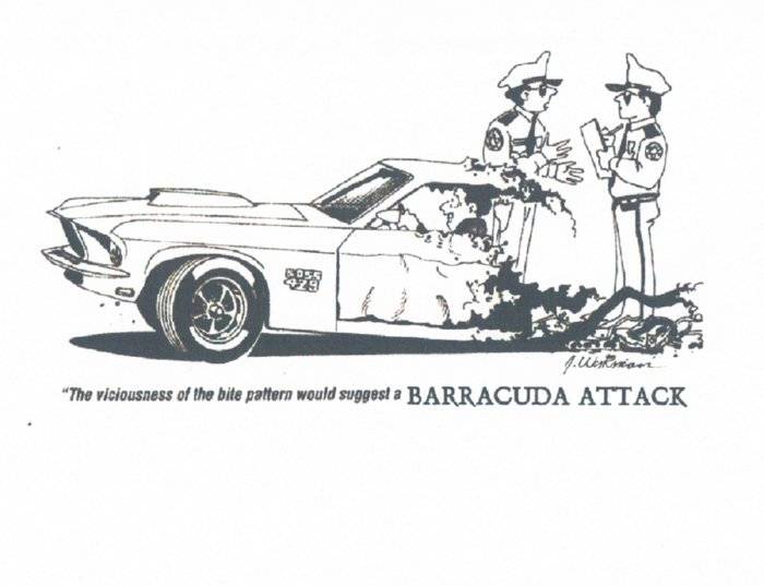 Barracuda Attack-01.jpg