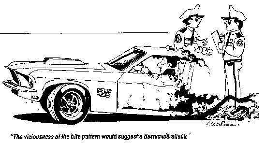 barracuda attack.jpg