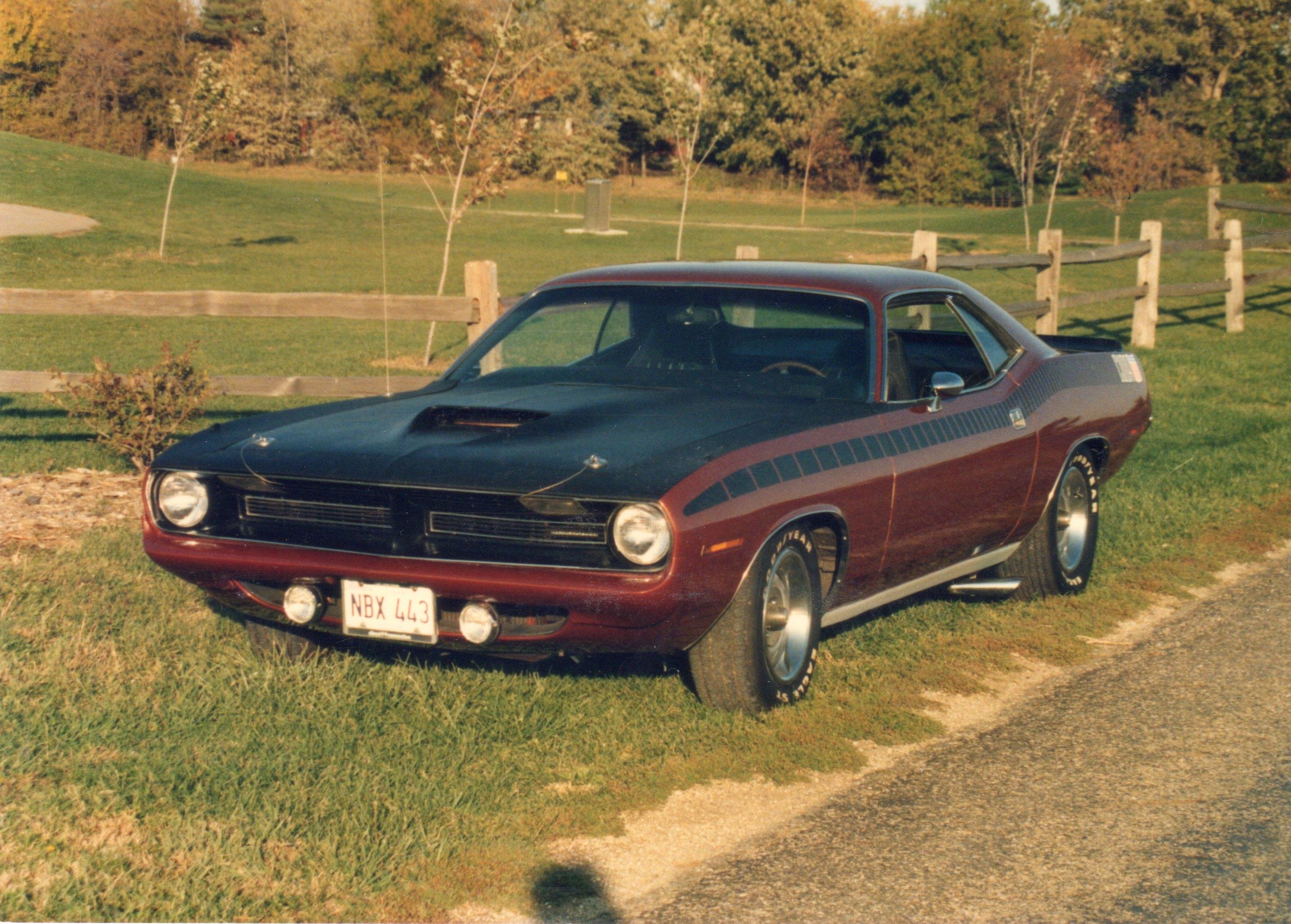 Barracuda189.jpg