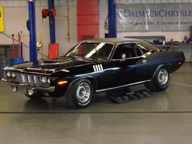 barracudaandcudashow034.jpg