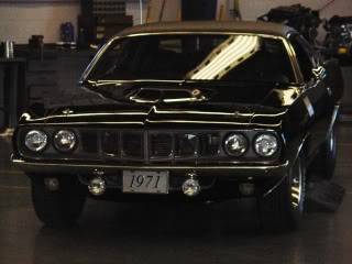 barracudaandcudashow046.jpg