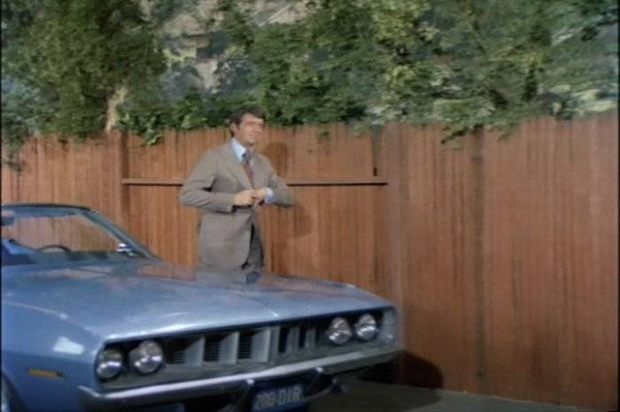 BB Bcuda.jpg