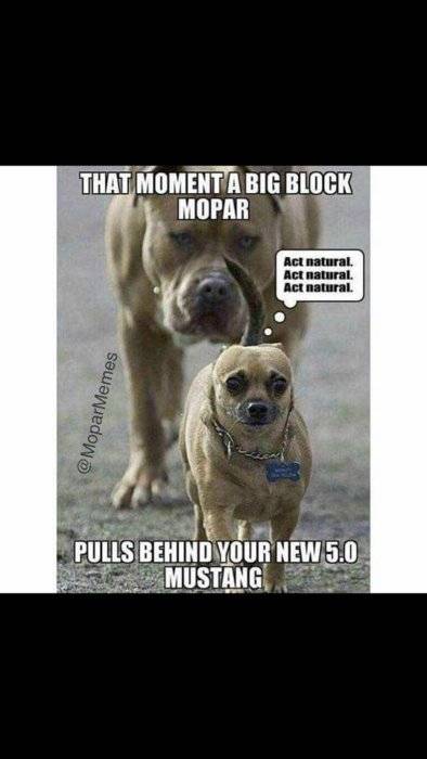 big block mopar.JPG