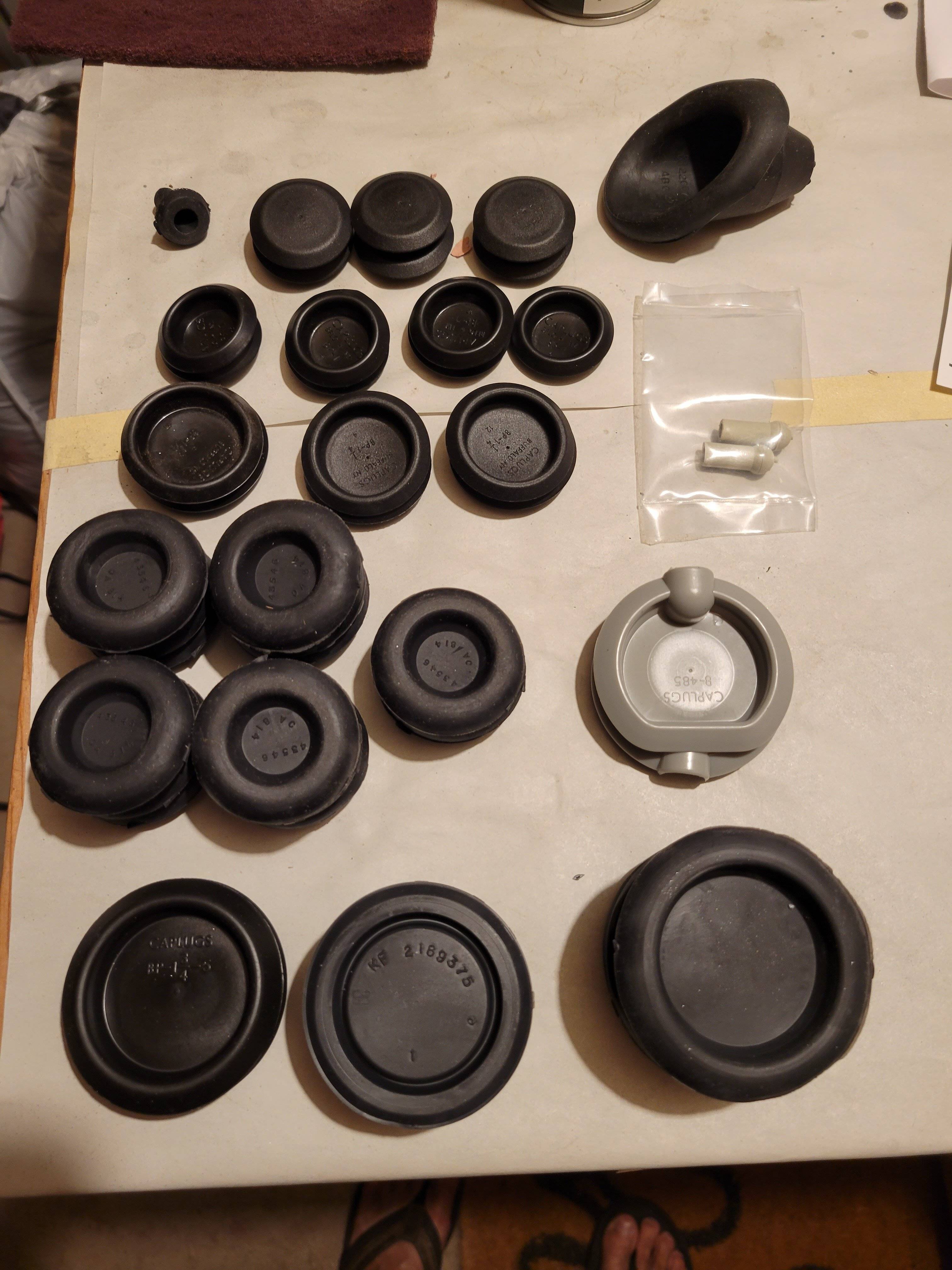 BodyPlugs.jpg