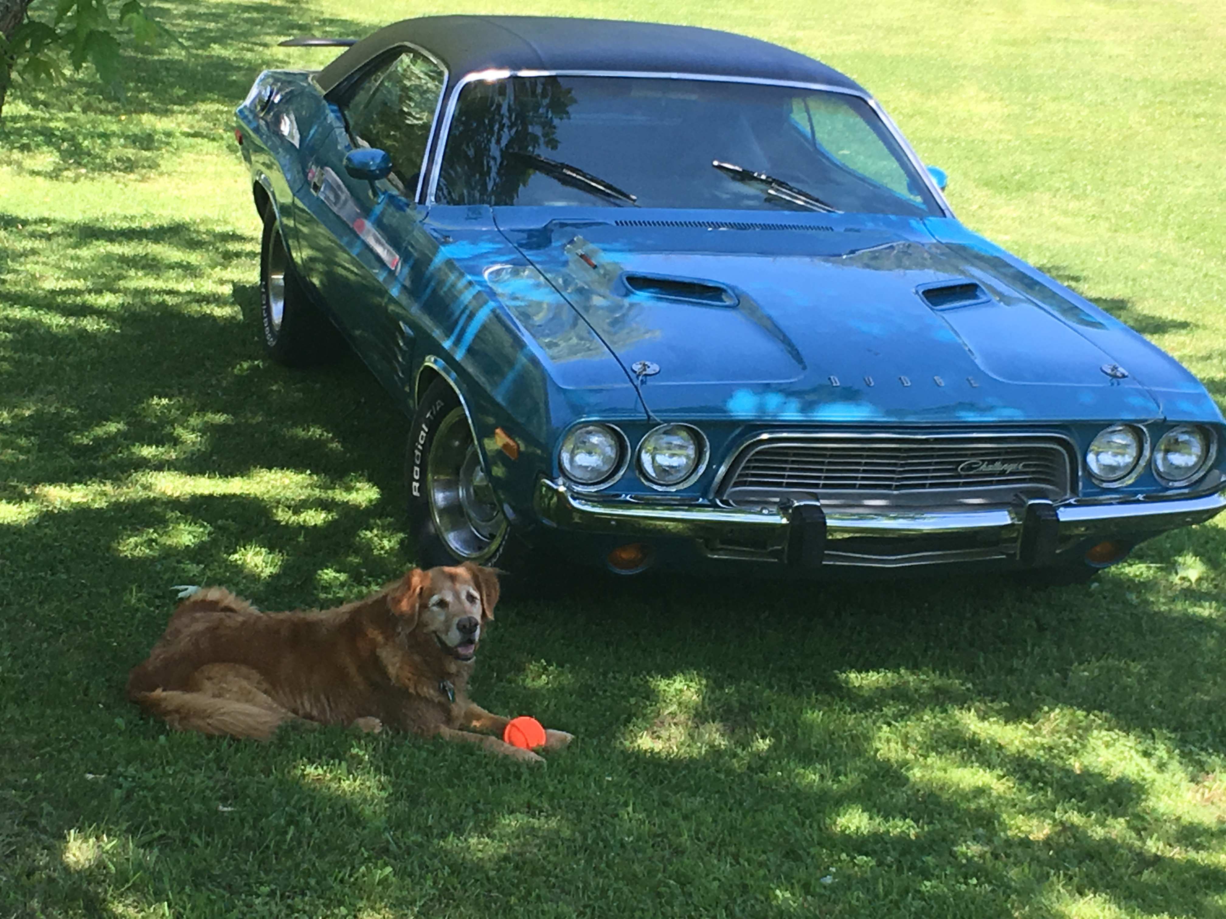 car and sam.jpeg