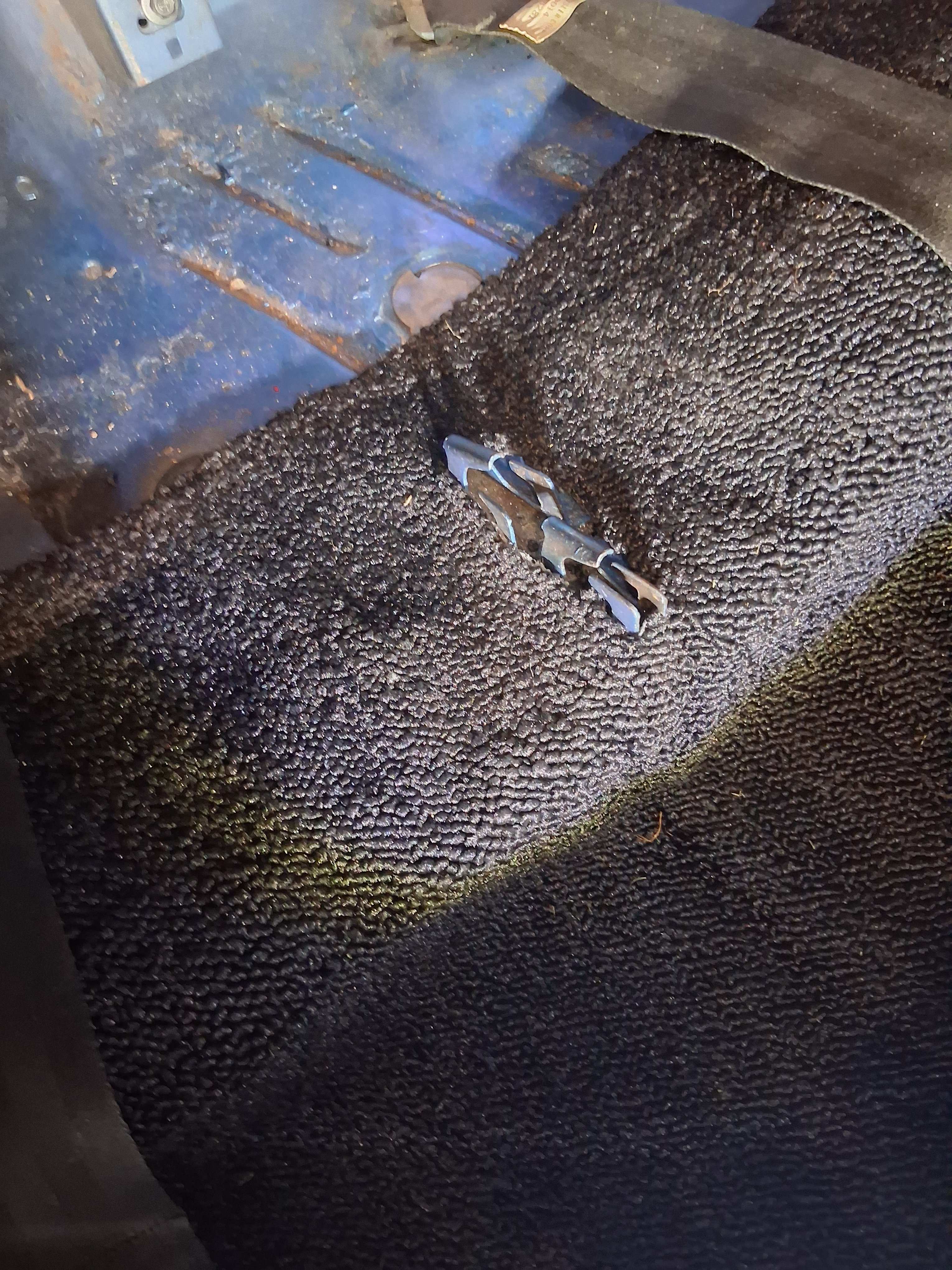 Carpet 6.jpg