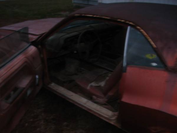 challenger 007.JPG