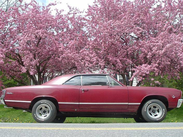 challenger and chevelle 008.jpg