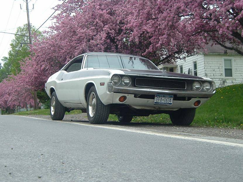 challenger and chevelle 018.jpg