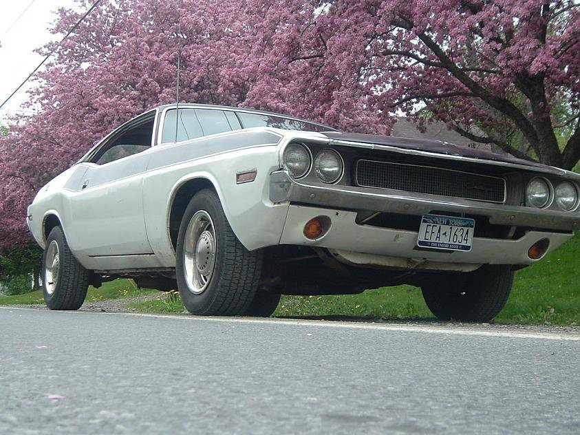 challenger and chevelle 020.jpg