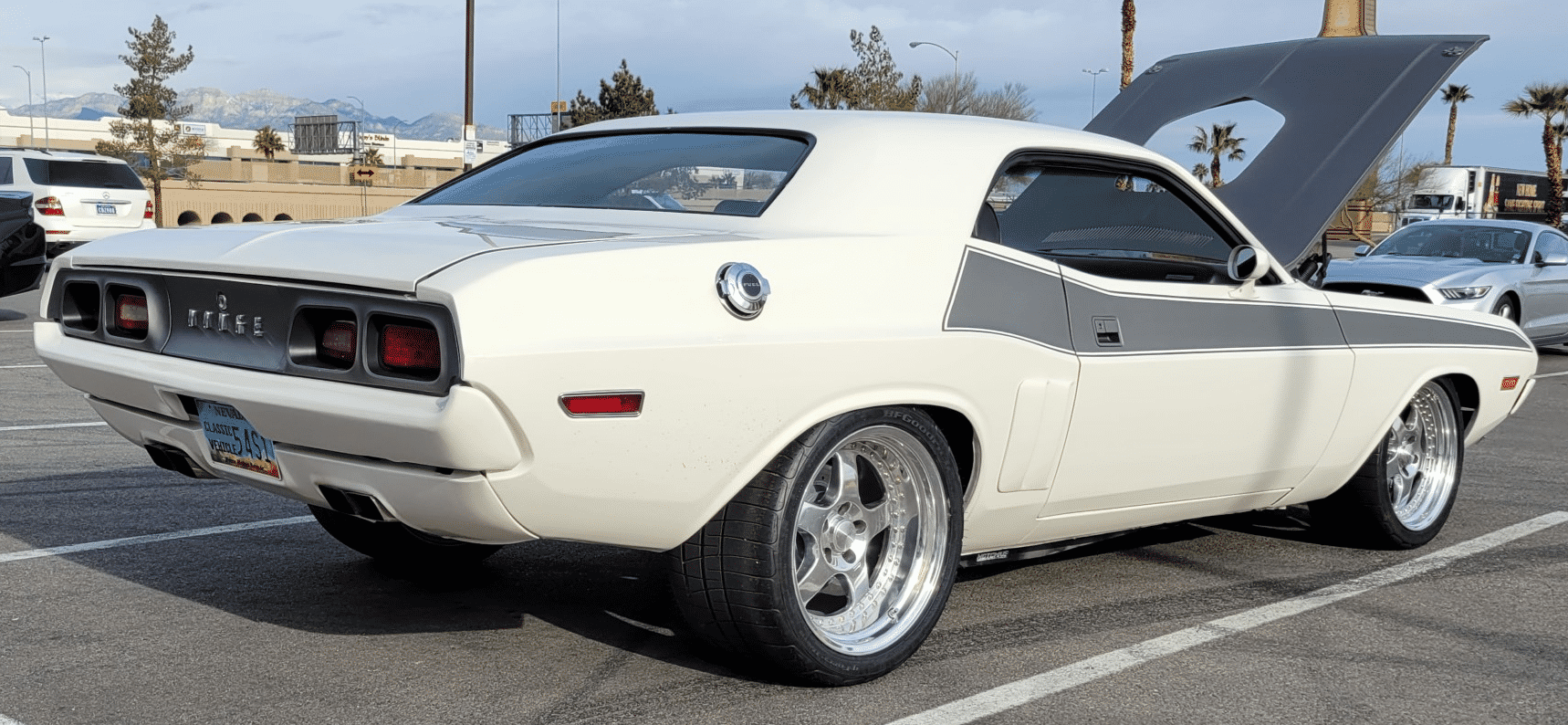 Challenger at Shelby Cropped.png