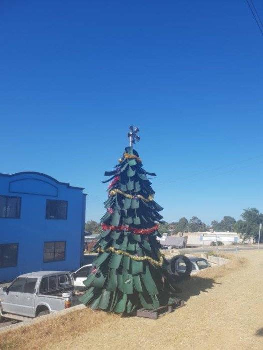 Cheekies Tree.jpg