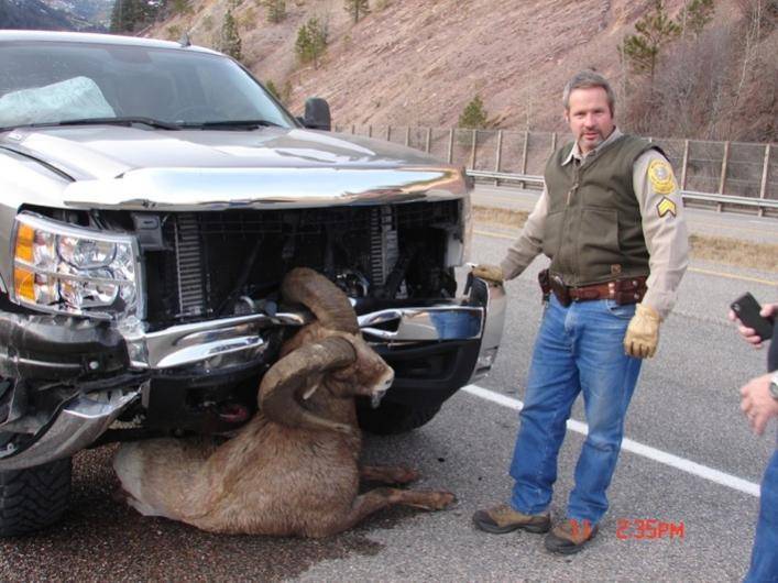 chevy...jpg