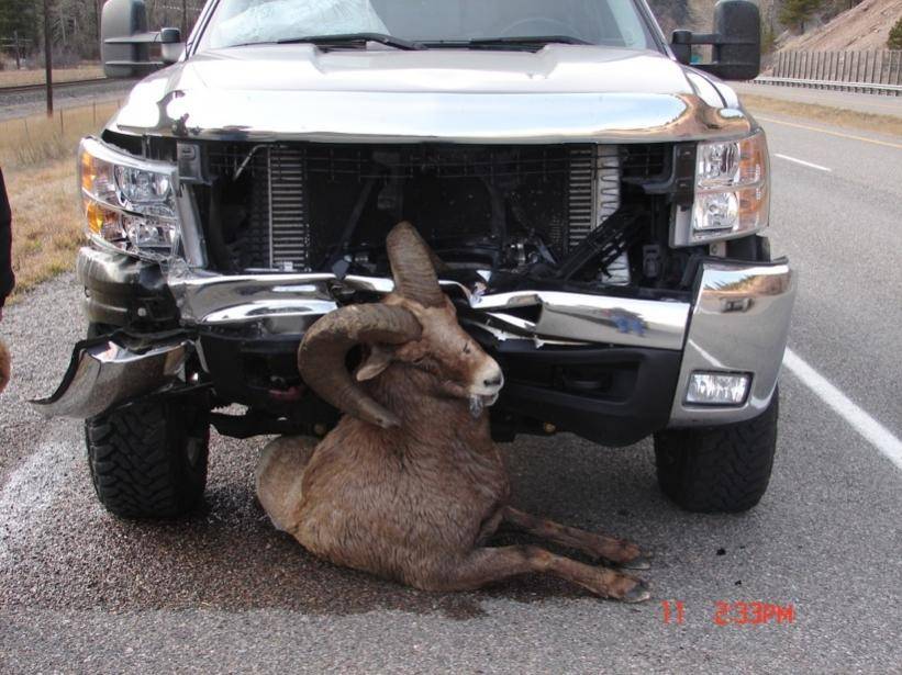 chevy...ram2.jpg