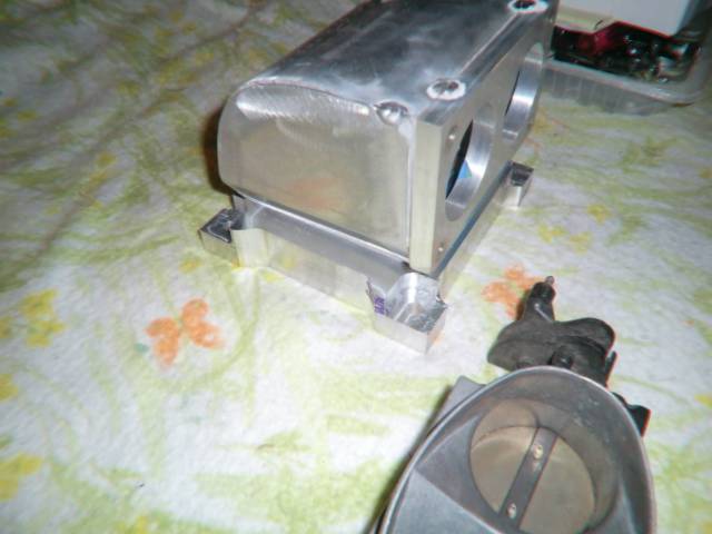 CIMG6163_zps9e38bfd6.jpg