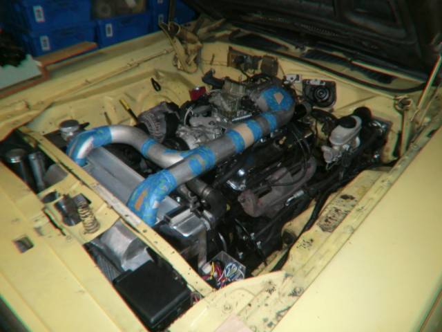 CIMG6177_zps4aed5804.jpg