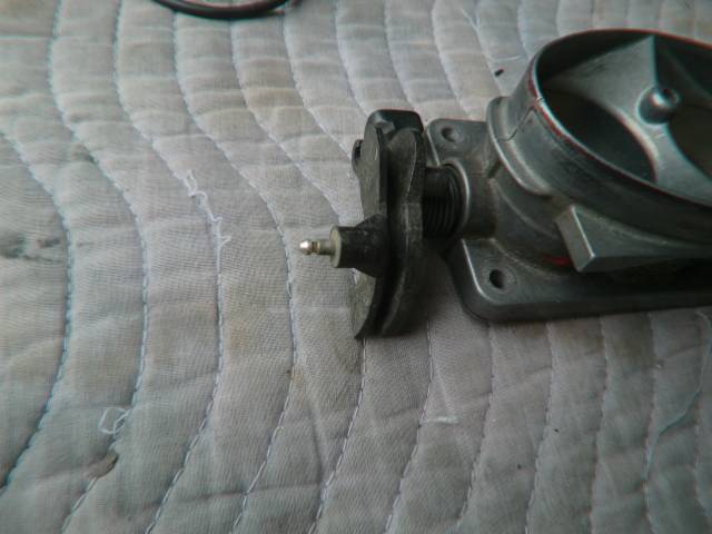 CIMG6260_zpsdf8stn3y.jpg