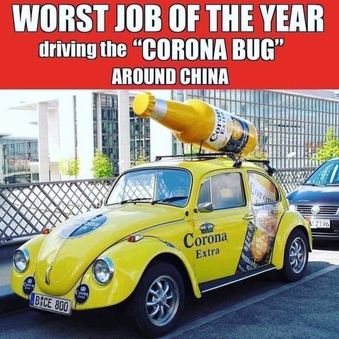 corona bug.jpg