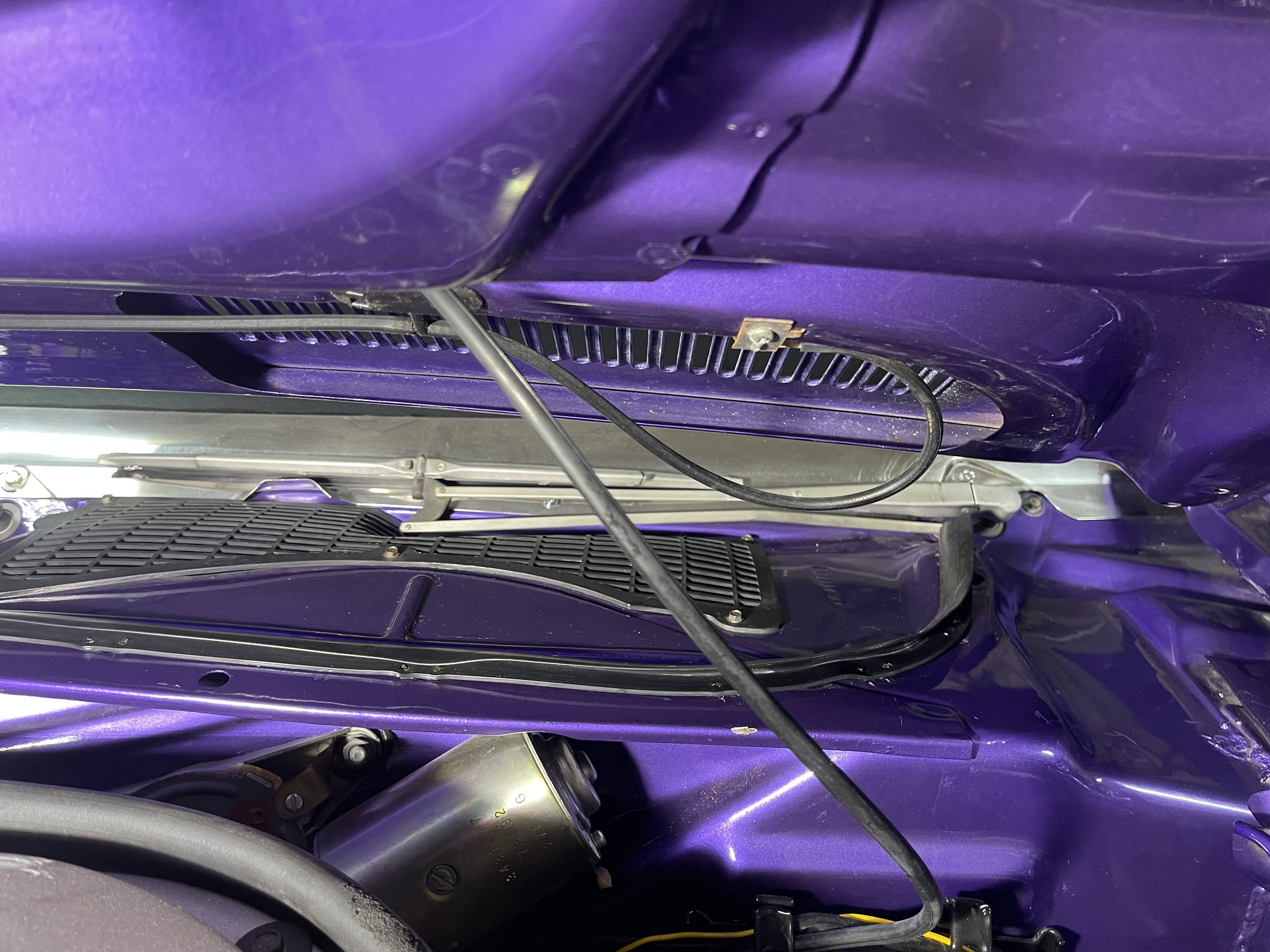 Cowl Seal Cuda (5).JPG