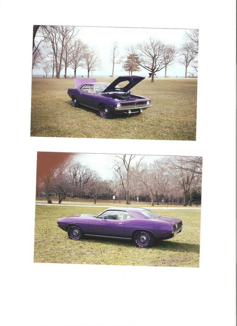 Cuda 001.jpg