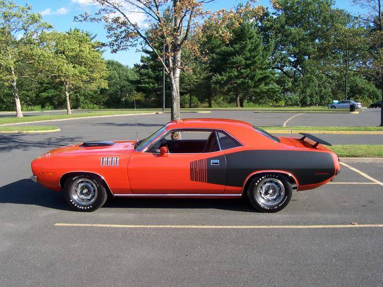 Cuda 002.jpg