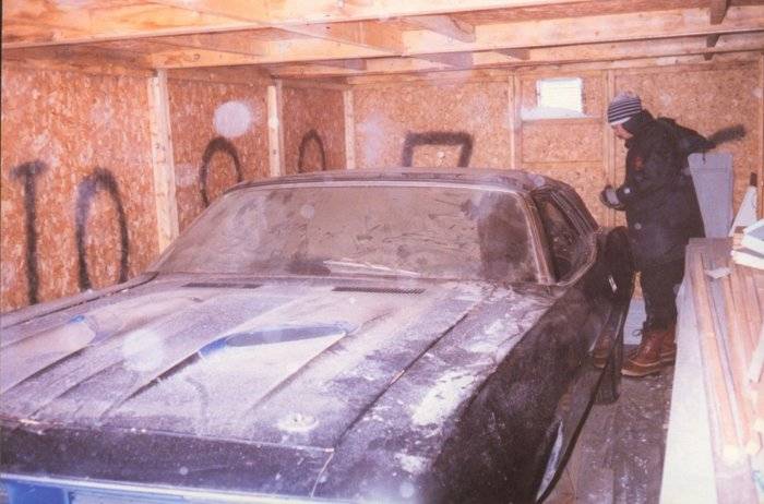 Cuda-002.jpg