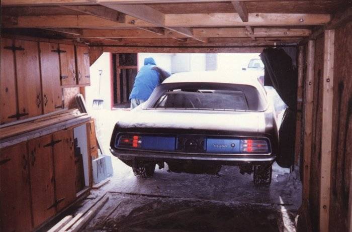 Cuda-005.jpg