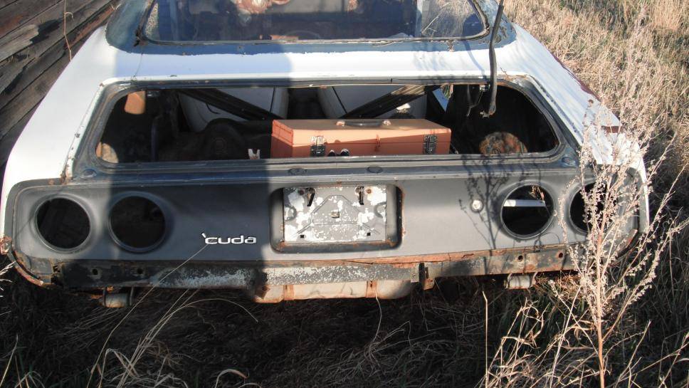 cuda 006.jpg