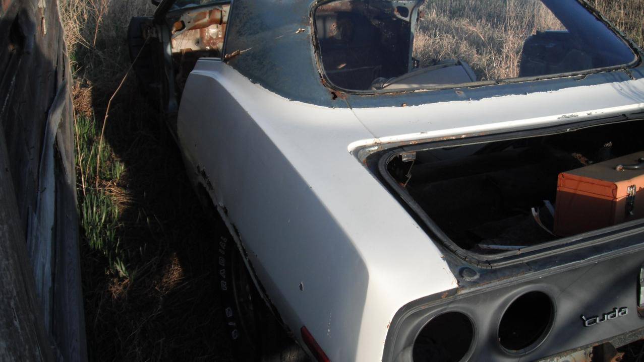 cuda 007.jpg
