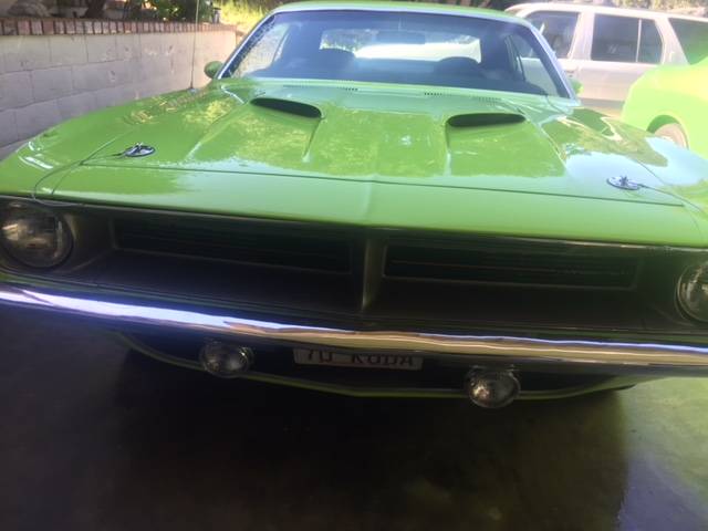 cuda 1.JPG
