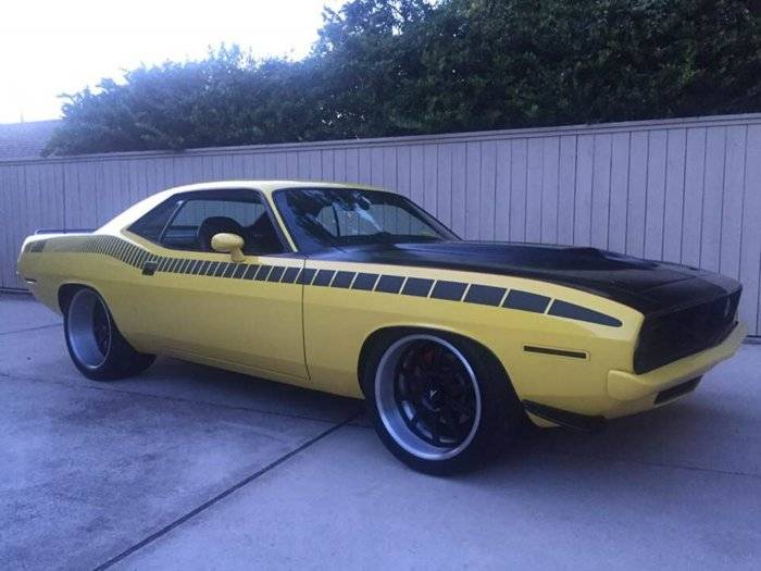 Cuda 1.jpg