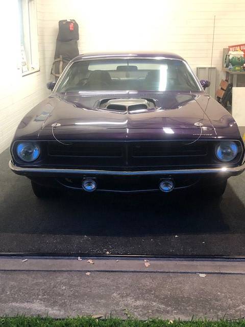 Cuda 1.jpg