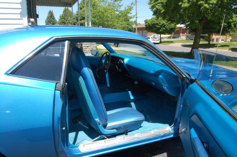 cuda 115.jpg