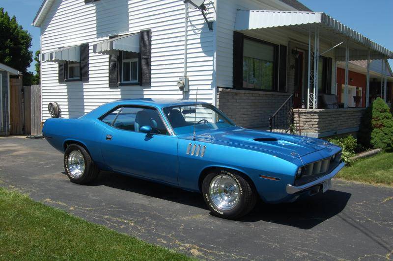 cuda 117.jpg