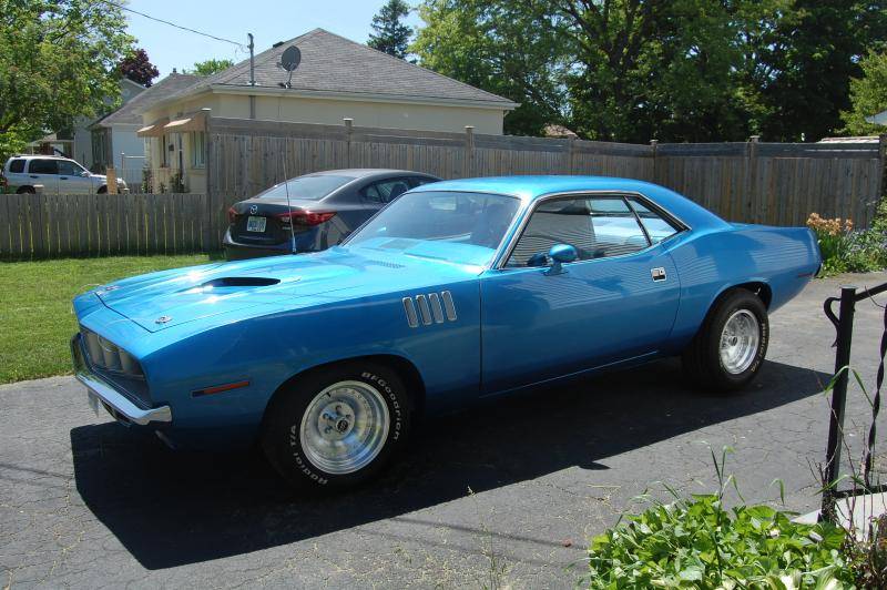 cuda 119.jpg