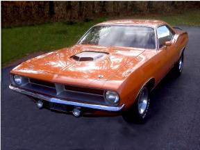 Cuda 11a.jpg