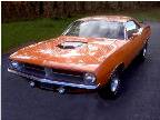 Cuda 12.jpg