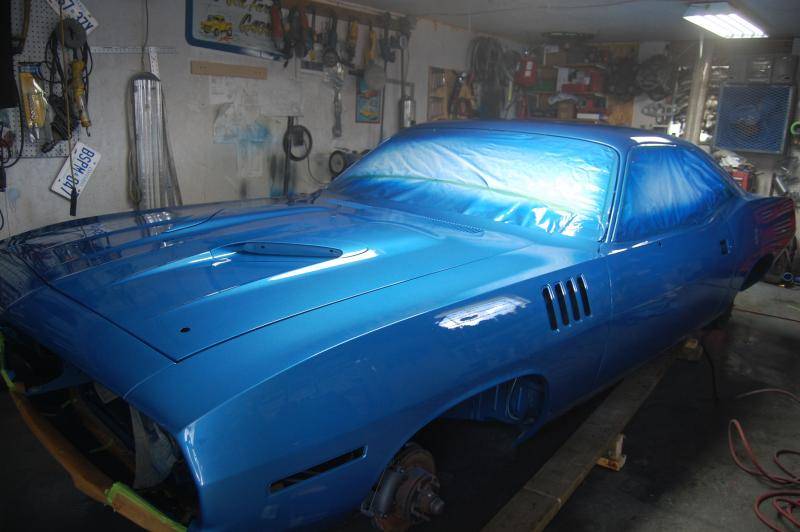 cuda 120.jpg