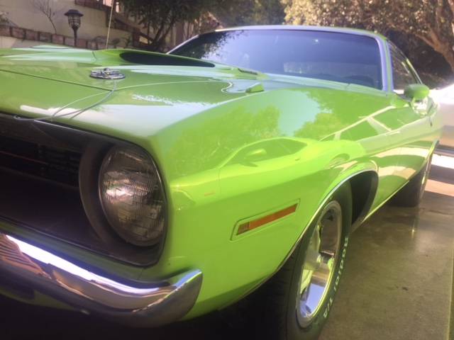 cuda 2.JPG