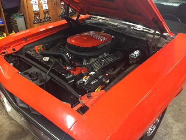 Cuda 2.jpg