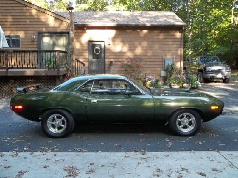Cuda 2.jpg